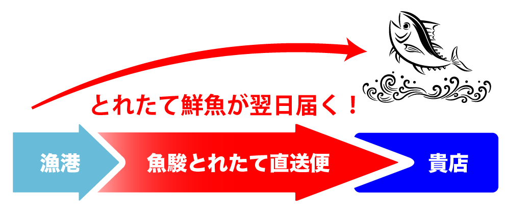 業務用鮮魚が翌日届く